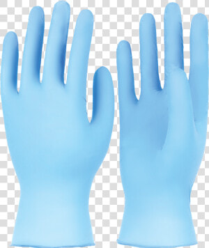 Nitrile Disposable Gloves  Latex Free  Powder Free   Mannequin  HD Png Download