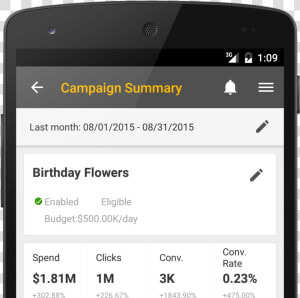 Bing Ads Android App Campaign Summary Cropped   Summary In Android App  HD Png Download