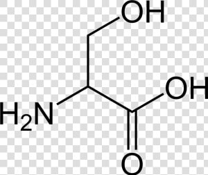 Serine Simple   Serine Amino Acid Structure  HD Png Download