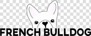 French Bulldog Texas   French Bulldog  HD Png Download