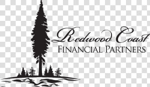 Redwood Coast Financial Partners   Colorado Spruce  HD Png Download