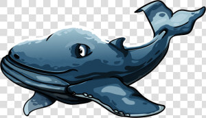 Sea Animals  Animals  Whale   Whales  HD Png Download