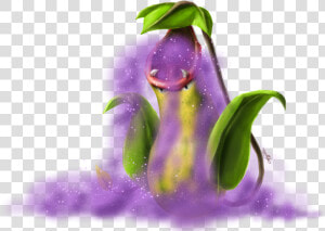 Victreebel Used Poison Powder By Yggdrassal   Victreebel Vine Whip  HD Png Download