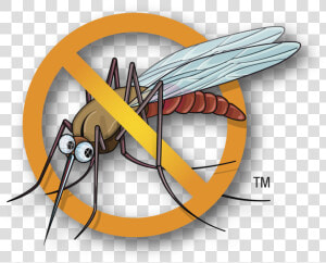 Mosquito Clipart Malaria Mosquito   Dengue Mosquito Clipart Png  Transparent Png