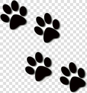 Lion Paw Print Clipart Kid   Transparent Paw Print Clip Art  HD Png Download