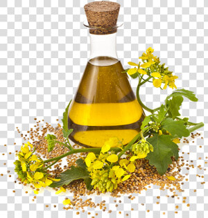 Canola Oil Made  HD Png Download