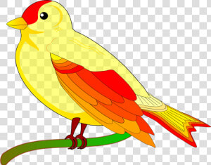 Yellow Bird Clipart Png   Animated Pictures Of Bird  Transparent Png