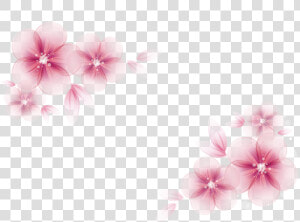 Transparent Pink Flower Border Png   Vector Pink Flower Border  Png Download