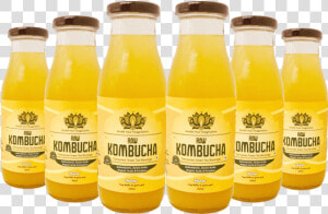 Kombucha Fruity Fresh Tea   Orange Drink  HD Png Download