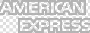 American Express Logo Gray   Amex Logo White Png  Transparent Png