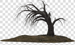 Creepy Tree 19 By Wolverine041269 On Clipart Library   Dead Trees Drawing Png  Transparent Png