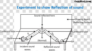 Experiment To Show Reflection Of Sound New   Reflection Of Sound Ncert  HD Png Download