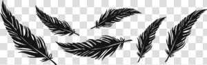  png  overlay  edit  tumblr  plumas  feathers   Feather Tattoo Png  Transparent Png