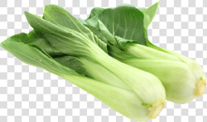 Bok Choy Clipart Yellow Vegetable   Bok Choy Png  Transparent Png