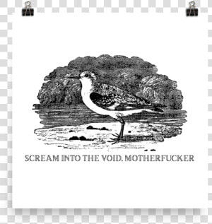 Scream Into The Void Srcset Data   Scream Into The Void  HD Png Download