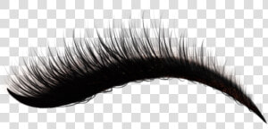  lashes  eyelashes  makeup  aesthetic  sticker  free   Mascara  HD Png Download