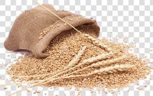 Grain Png Clipart   Grains Png  Transparent Png