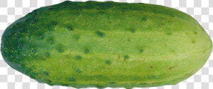 Cucumber Png   Papaya  Transparent Png