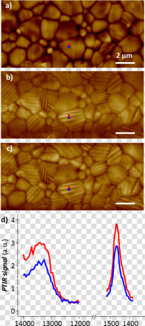 Observation Of Ferroelastic Domains In Organic inorganic   Perovskite Afm  HD Png Download