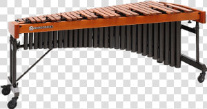 Marimba Png  Transparent Png