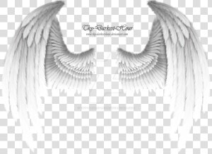 White Wings Png Download   Golden Angel Wings Png  Transparent Png