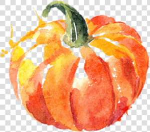 Transparent Pumpkin Png   Watercolor Pumpkin Transparent Background  Png Download