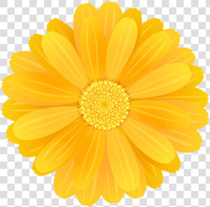 Transparent Yellow Flower Png   Yellow Flower Transparent Background  Png Download