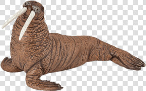 Walrus Figurine   Walrus Toy  HD Png Download