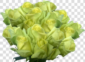 Cheap Light Green Roses Huge Rose Flowers Bouquet Pale  HD Png Download