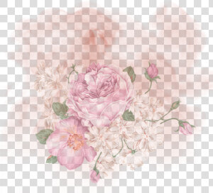  red  background  smoke  flower  remix  vjaii   Flores Vintage Png  Transparent Png