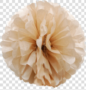 Latte Colored Paper Pom Poms 01   Tissue Paper  HD Png Download