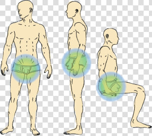 Best Cooling And Testicles Support Underwear   Varicocele Underwear  HD Png Download