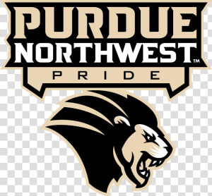 Purdue Northwest Logo  HD Png Download