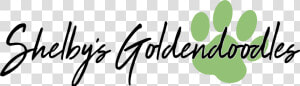 Shelby S Goldendoodles   Calligraphy  HD Png Download