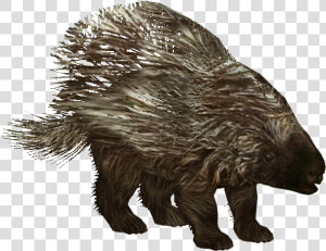 American Porcupine   Zoo Tycoon 2 Porcupine  HD Png Download