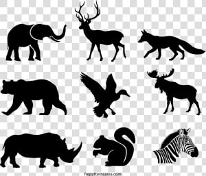 Wildlife Animals Silhouette Stencil  amp  Printable Template   Silhouette Of Animals  HD Png Download