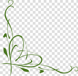 Green Vine Png   Green Vines Clip Art  Transparent Png