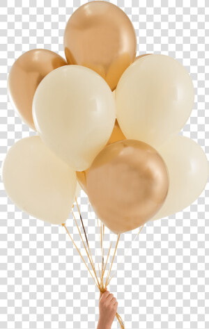 Elegant Gold  amp  Ivory Party Balloons   Transparent Gold Balloons Png  Png Download