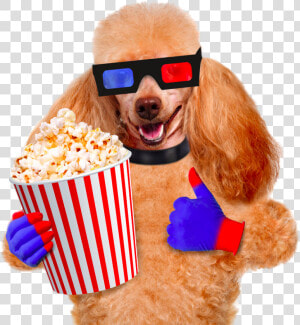 Cinema Photography Pug Dog Popcorn Film Stock Clipart   Eten Van Een Hond  HD Png Download