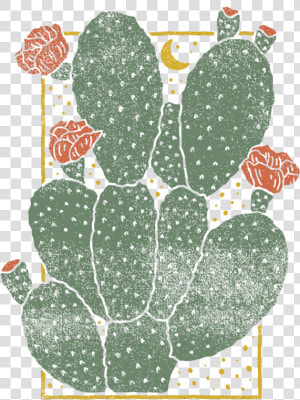 Cactus 01   Cactus Graphic Design  HD Png Download