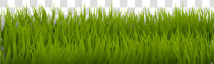 Grass 1 Clip Arts   Grass Drawing Png Transparent  Png Download