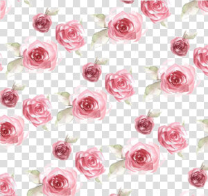 Ftestickers Watercolor Roses Background Overlay   Rose Pattern  HD Png Download