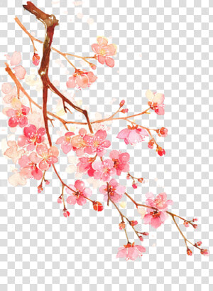 Cherry Blossom Png Cherry Blossom Png   Cherry Blossoms Png  Transparent Png