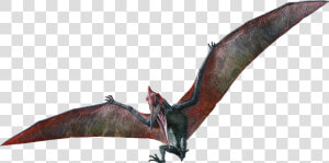 Pteranodon   Jurassic World Fallen Kingdom Pteranodon Png  Transparent Png