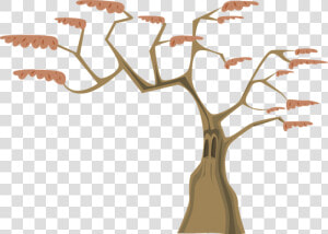 Arboles Animados Con Ramas Png   Arbol Con 12 Ramas  Transparent Png