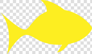 A Yellow Fish Icons Png   Yellow Clipart Fish  Transparent Png