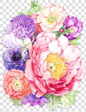 Watercolor Peony Flower Painting  HD Png Download