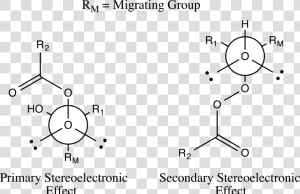 Baeyer villiger Oxidation Stereoelectronic Effects   Baeyer Villiger Oxidation Stereoelectronic Effects  HD Png Download