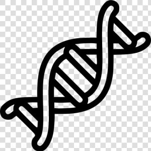 Dna Png   Dna Helix Png  Transparent Png