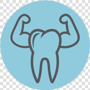 Tooth Icon Png   Strong Tooth Icon Png  Transparent Png